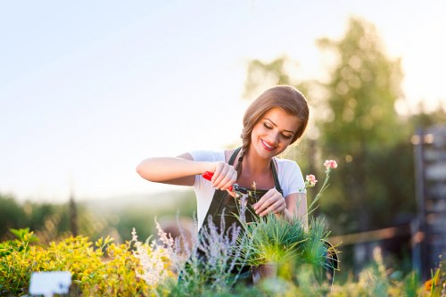 Secure online payment for Tree Surgeons Fitzrovia
