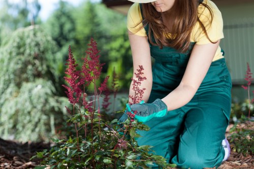 Urban tree waste transfer and recycling process in central London