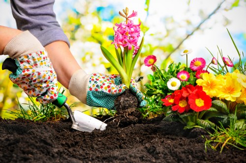 Professional hedge maintenance in a central London courtyard